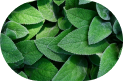 solution-image